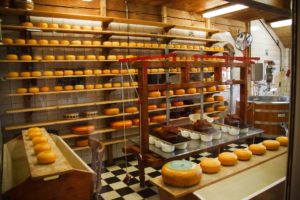 Obtención del Certificado IFS de Seguridad Alimentaria en una fábrica de quesos