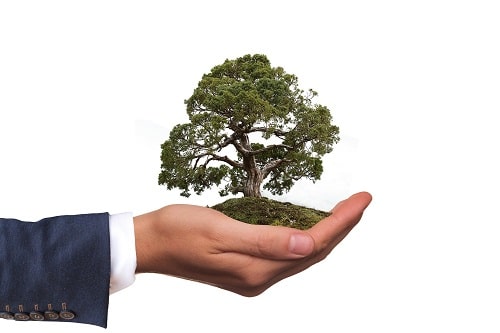 Imagen corporativa del servicio de consultoría ISO 14001